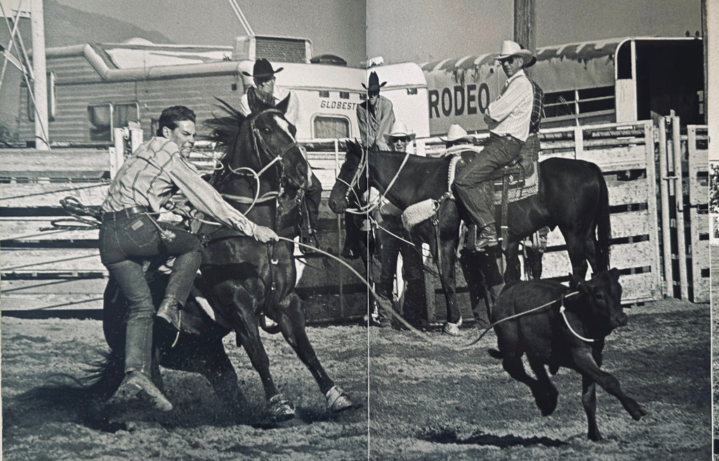 Rodeo