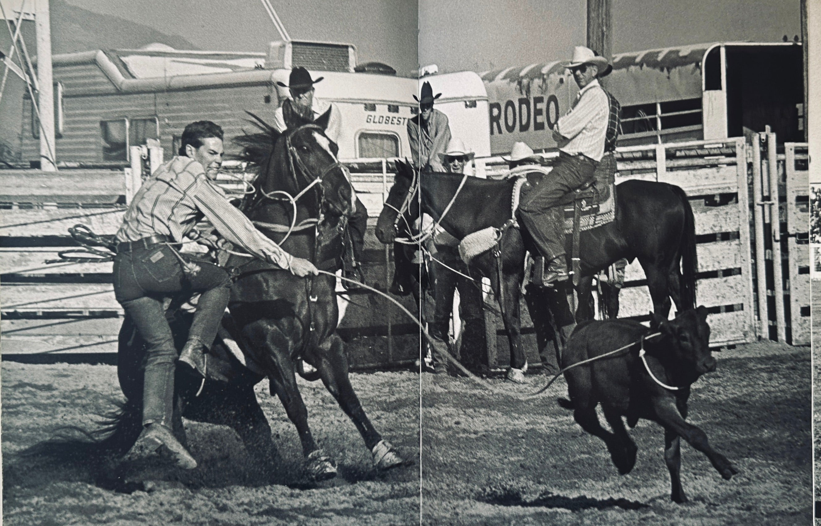 Rodeo