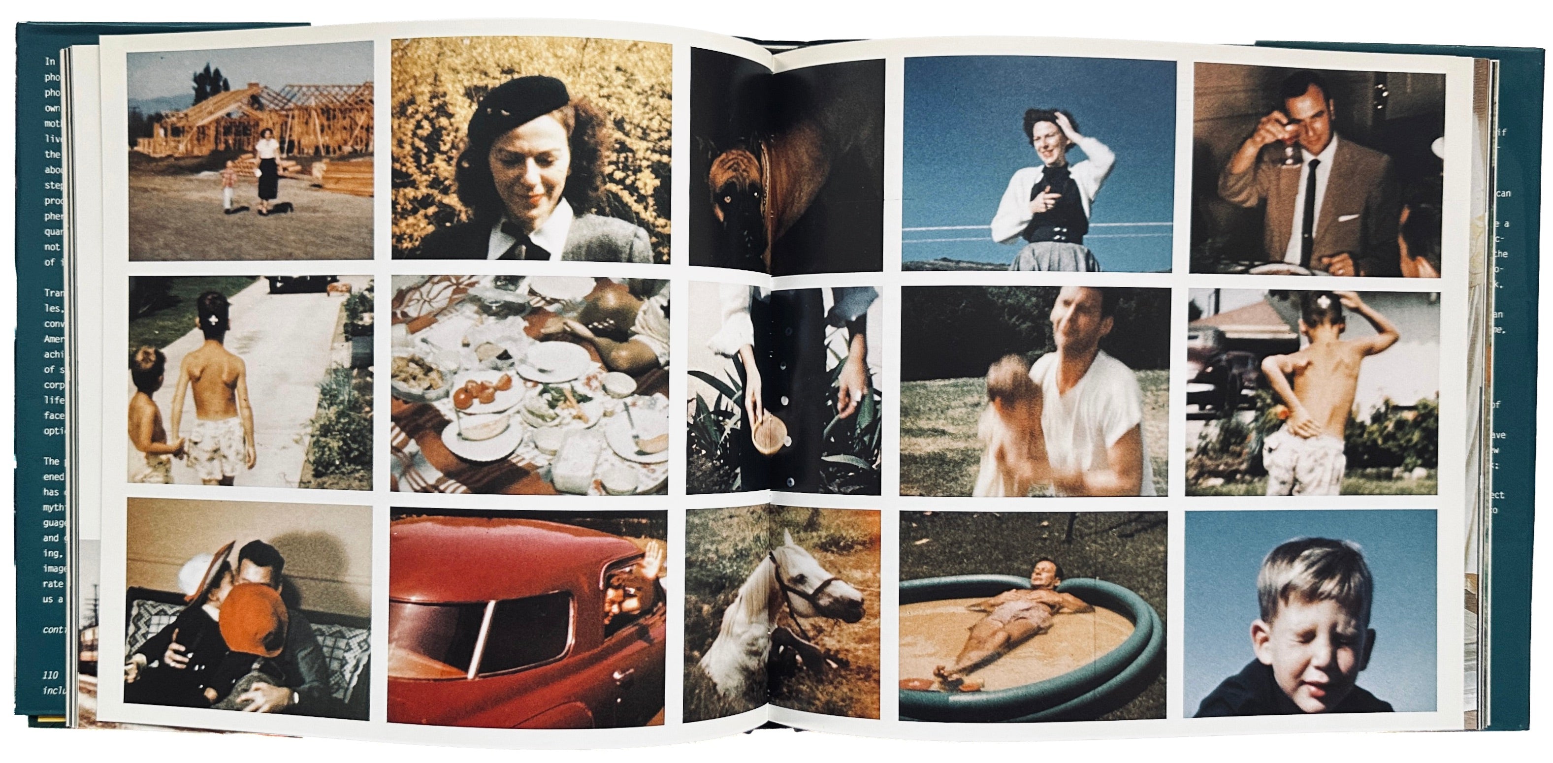 Larry Sultan Pictures from Home