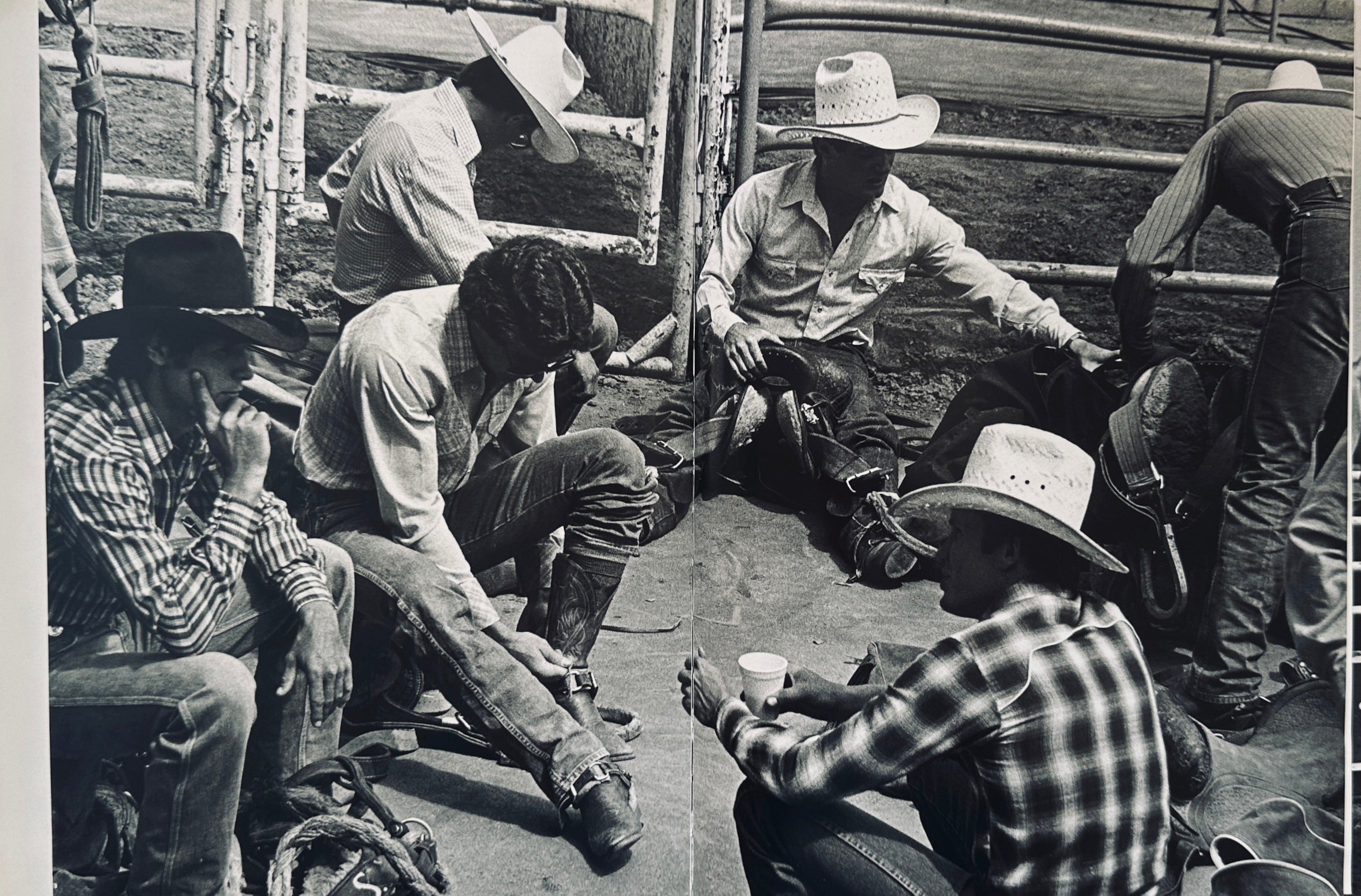 Rodeo