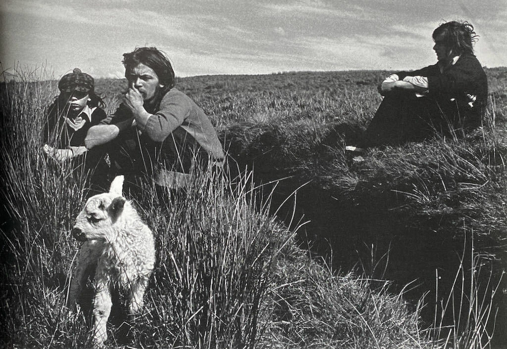 Survival Programmes