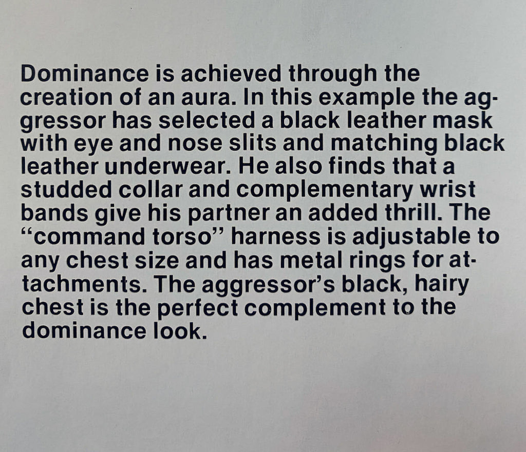 Gay Semiotics 1977 First Edition