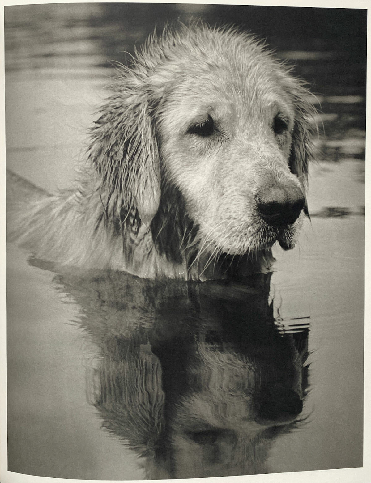Bear Pond