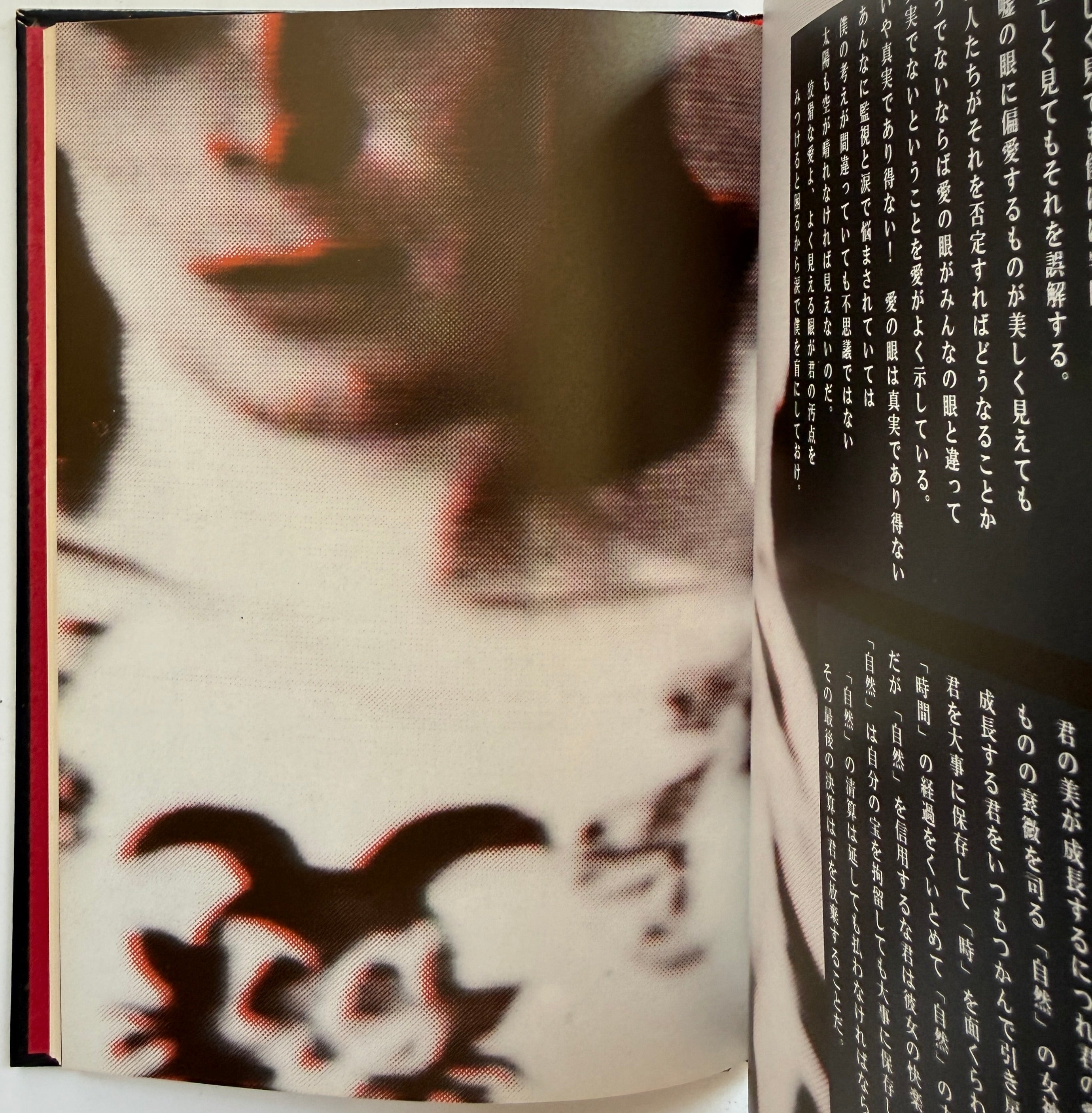 Derek Jarman The Angelic Conversation