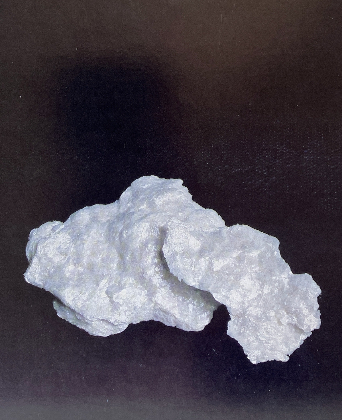 Cocaine Calendar 1980