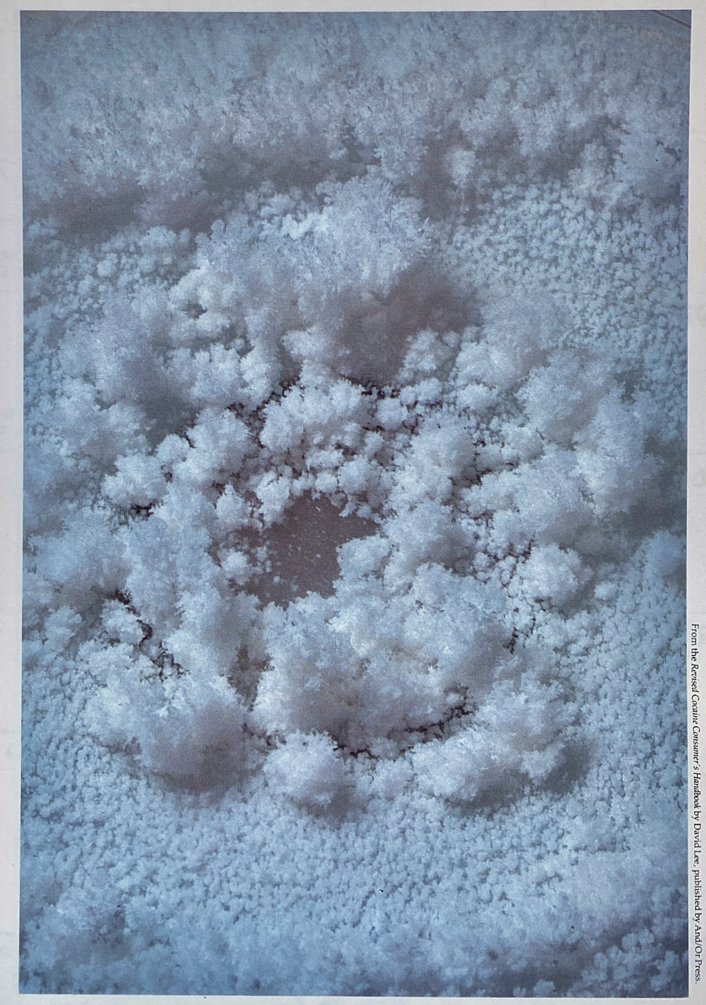 Cocaine Calendar 1980