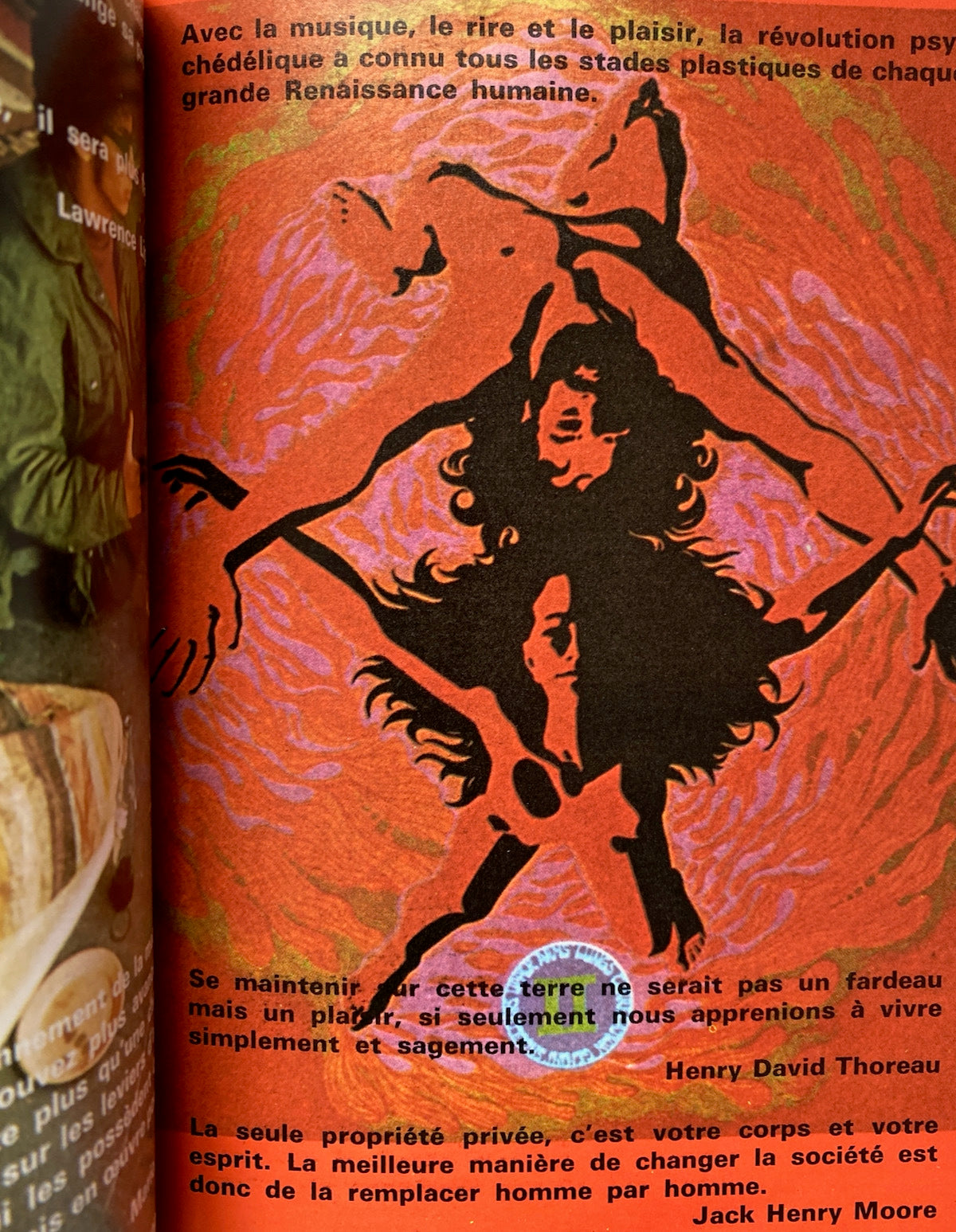 Livre Rose Du Hippy