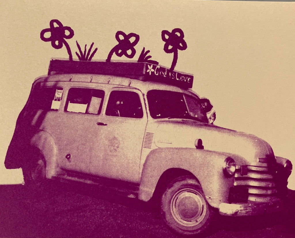 The Hippie Cookbook