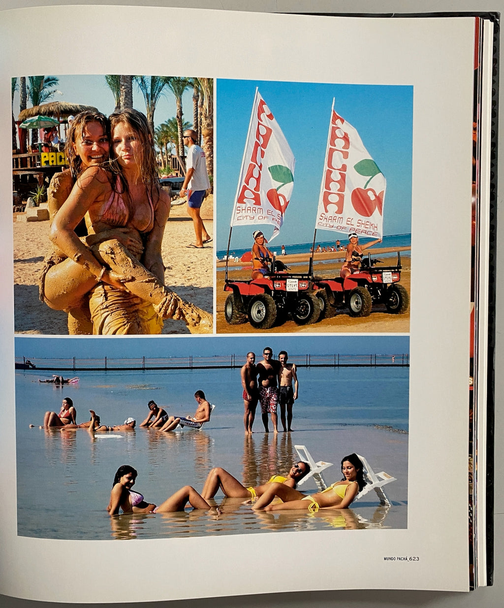 Pacha 40 Years of History