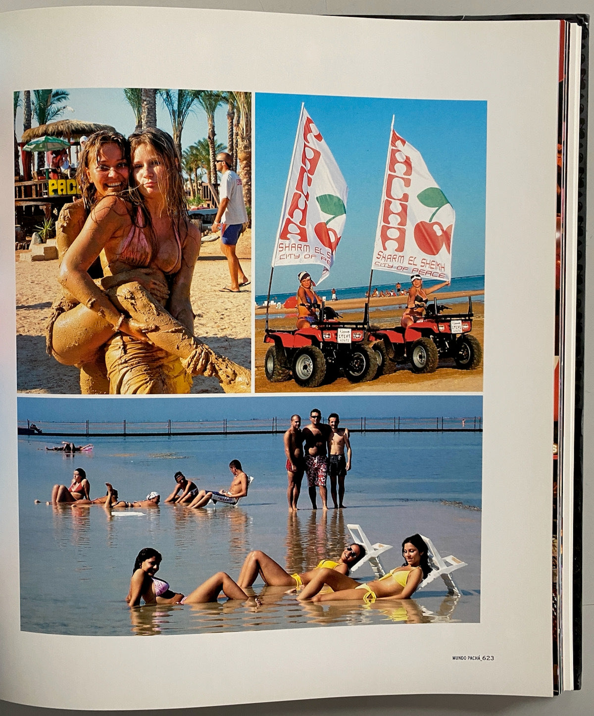 Pacha 40 Years of History