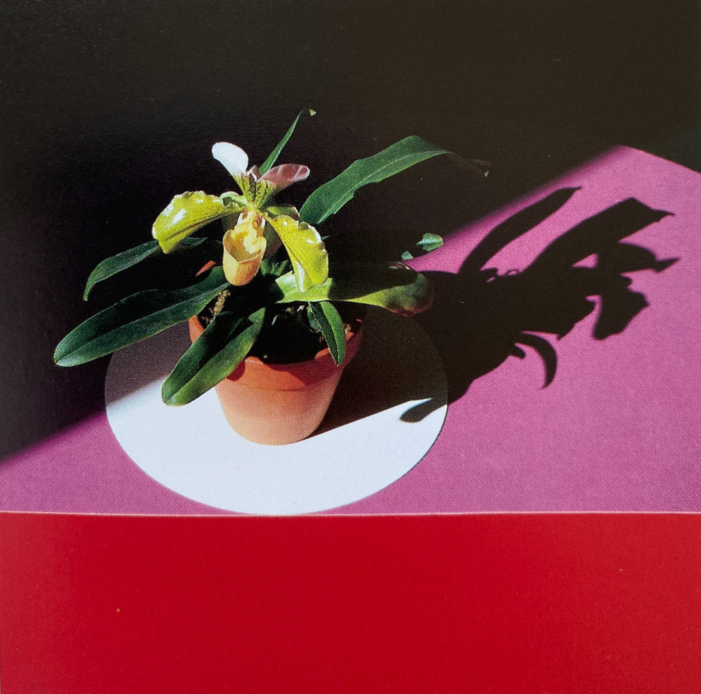 Robert Mapplethorpe Parco Vision