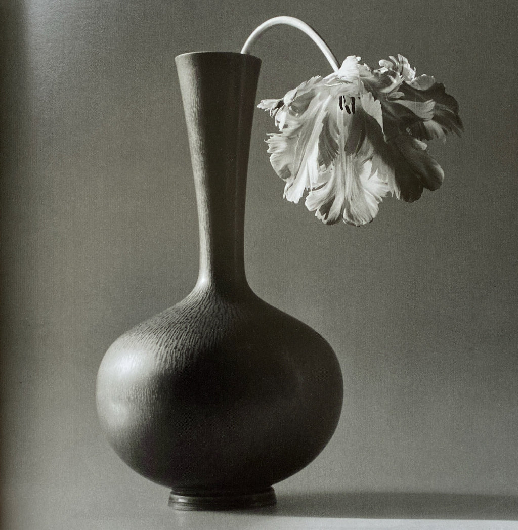 Robert Mapplethorpe Parco Vision