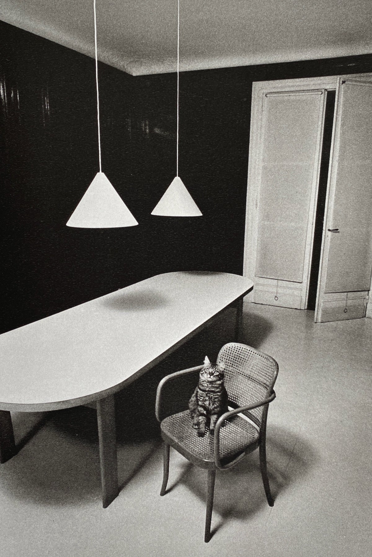 Jeanloup Sieff Contrejour