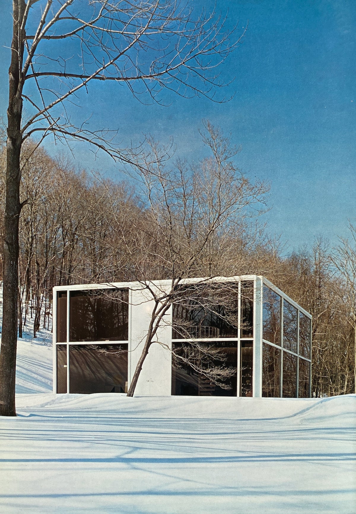 Houses Architects Design For Themselves