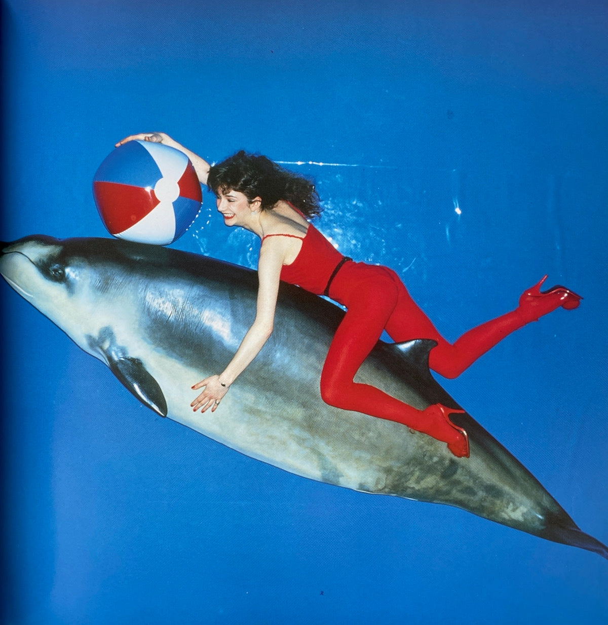 Kate Bush Never Forever Box Set