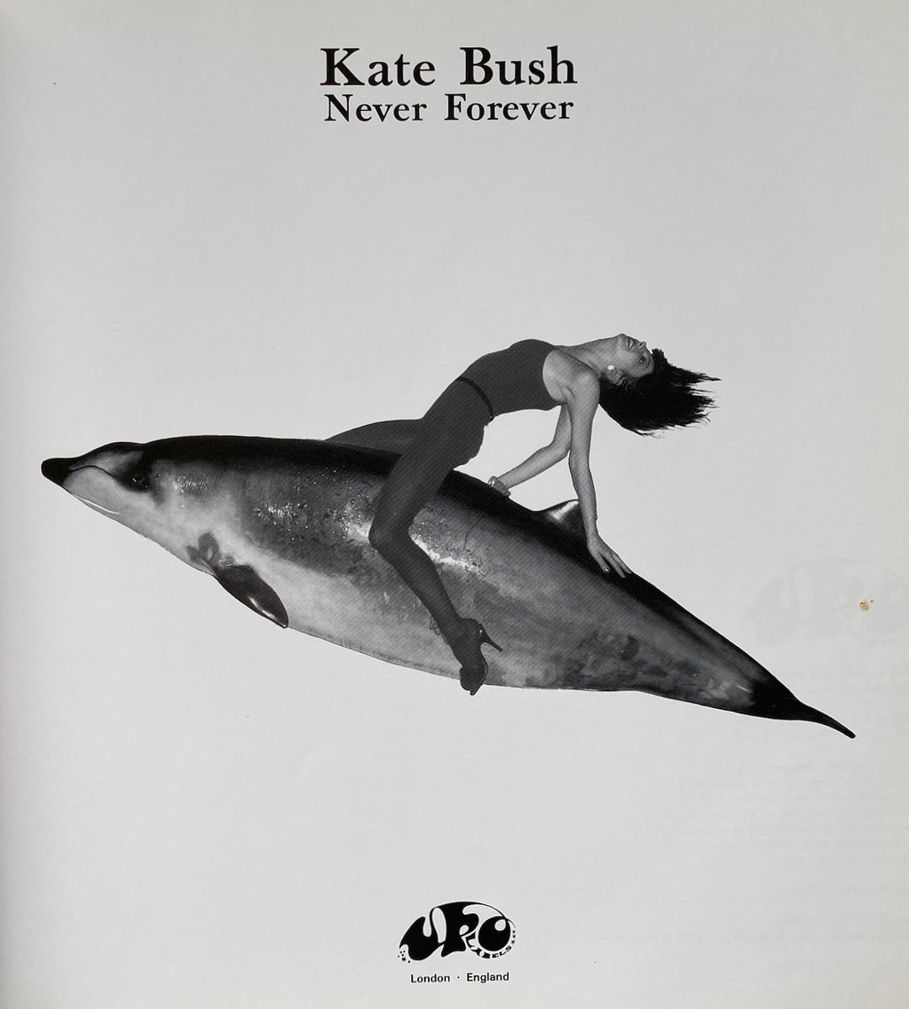 Kate Bush Never Forever Box Set