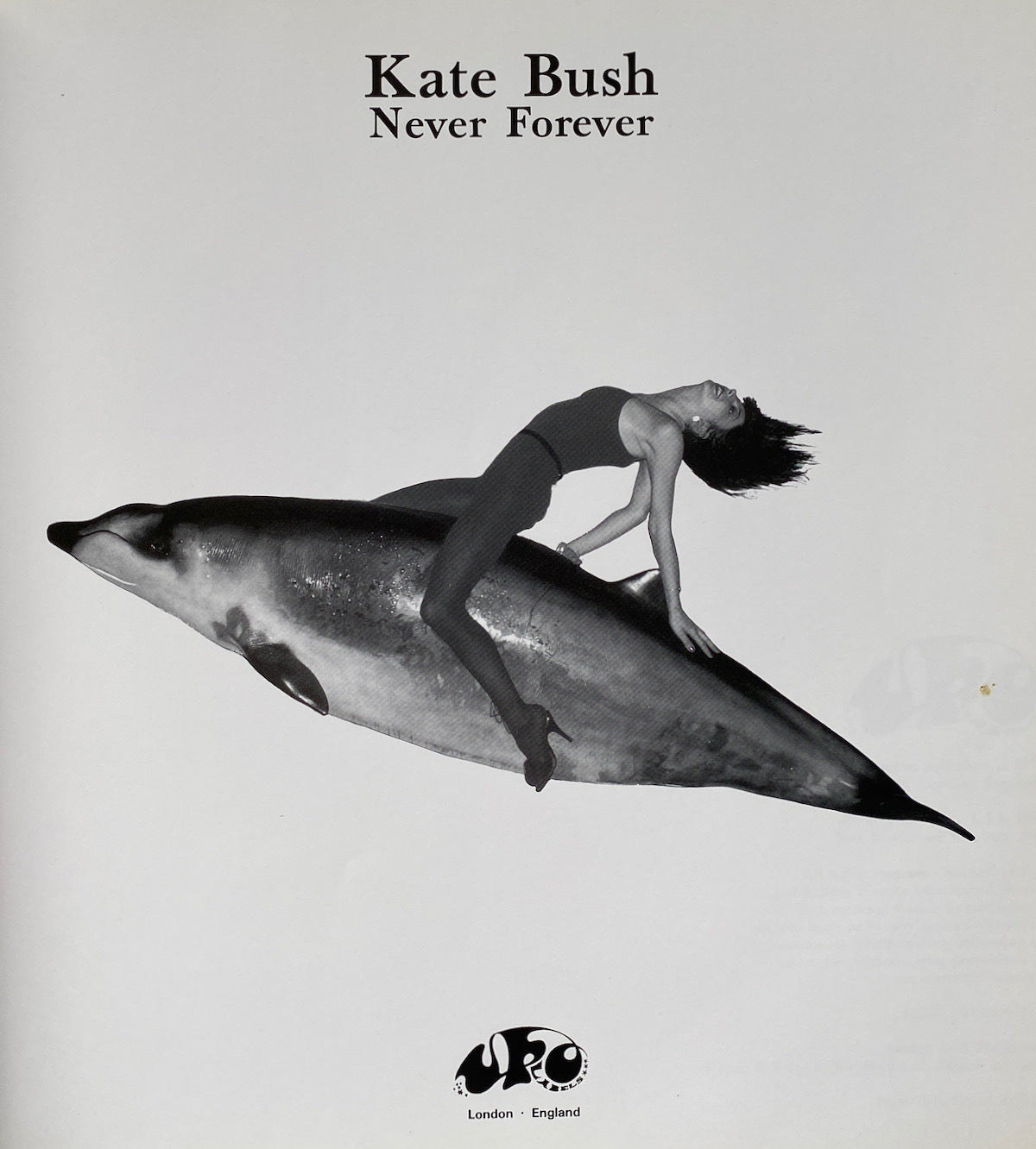 Kate Bush Never Forever Box Set