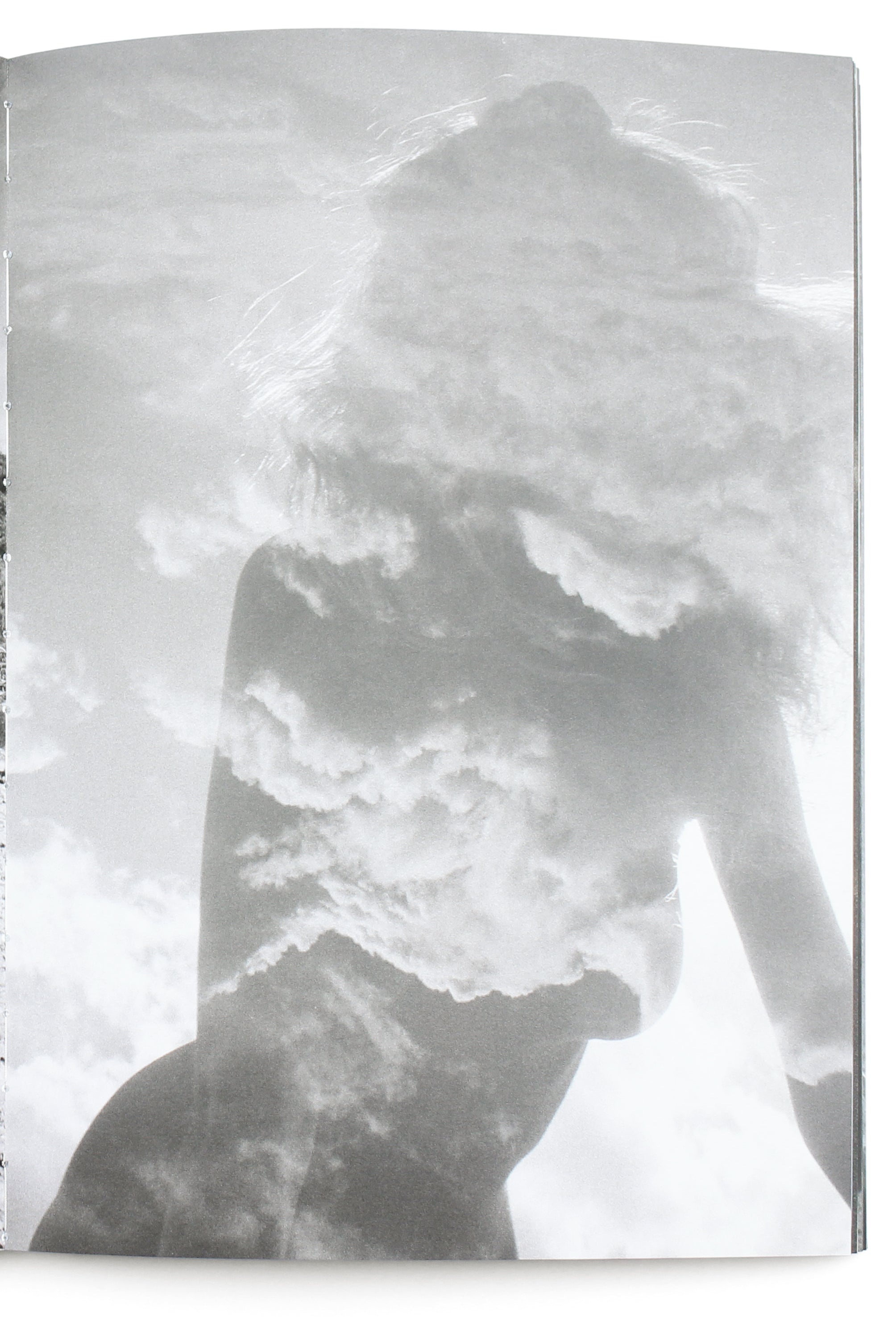 PURIENNE / TASJAKI