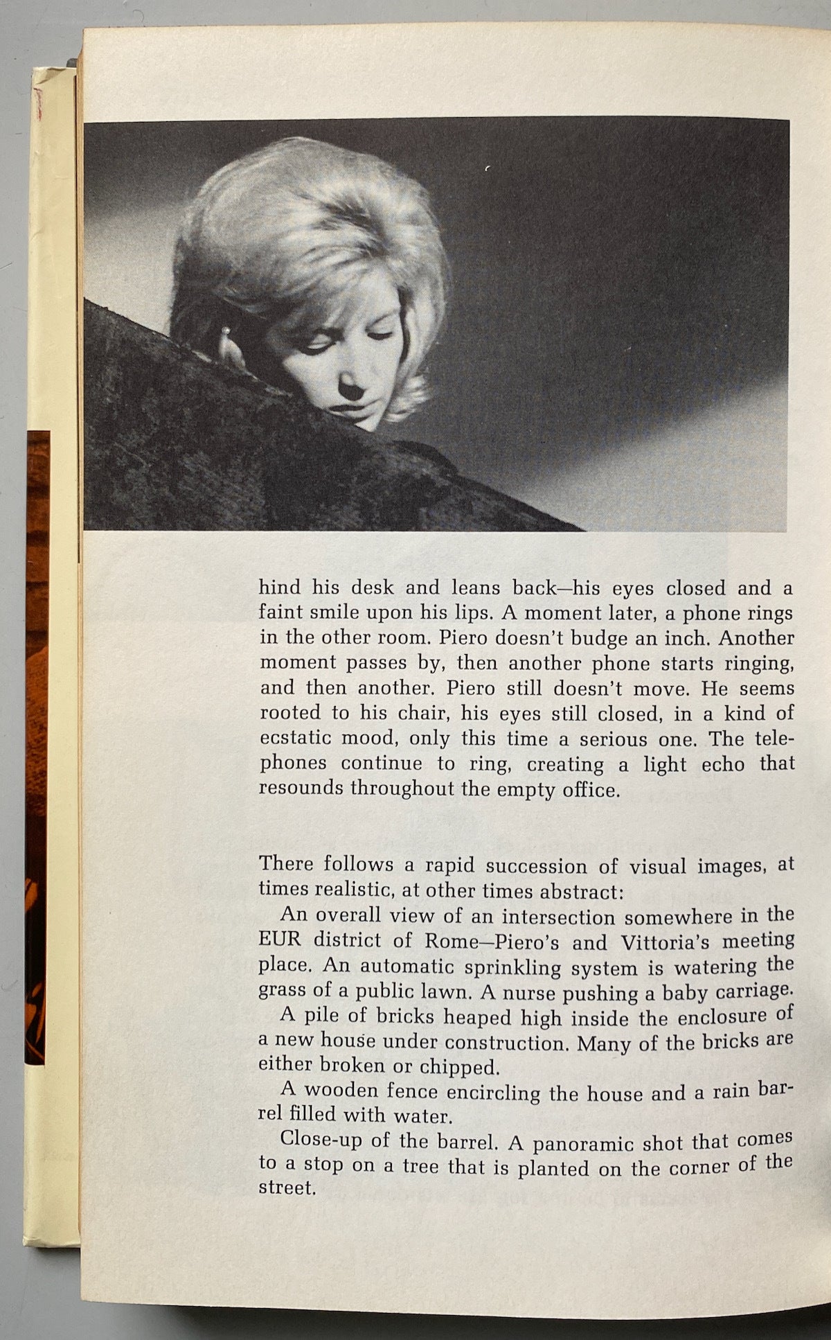 Screenplays Michelangelo Antonioni
