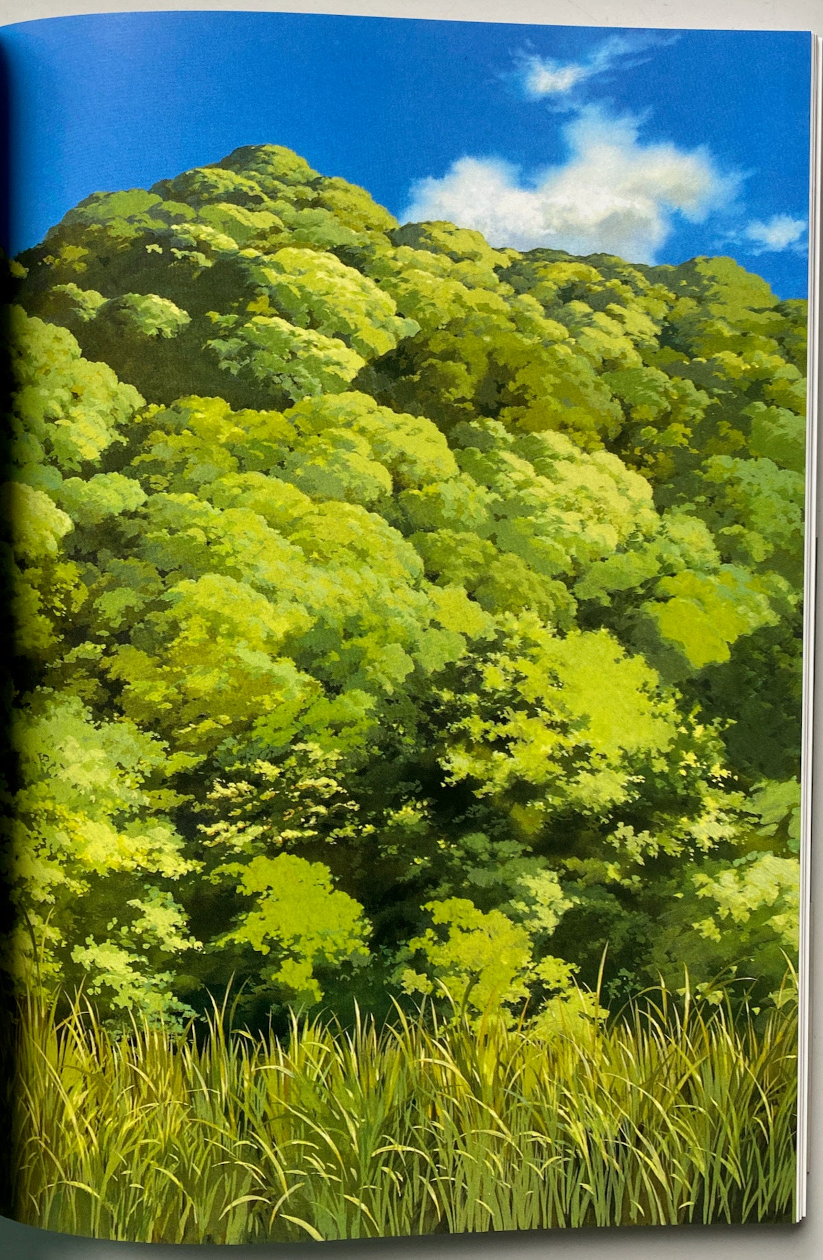 The Art of Princess Mononoke