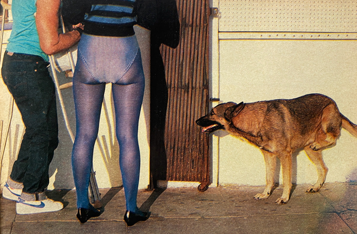 Observer Magazine 1983