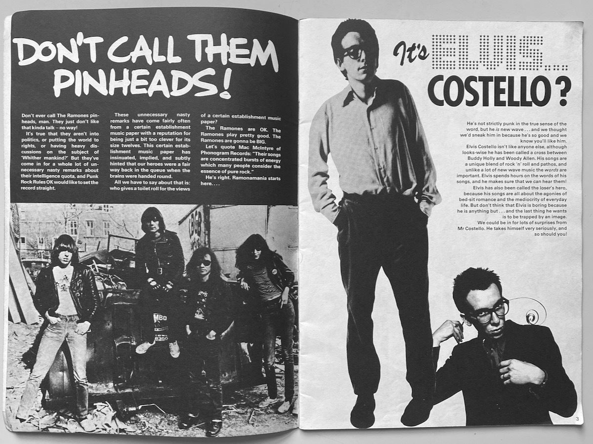 Punk Rock Rules OK?