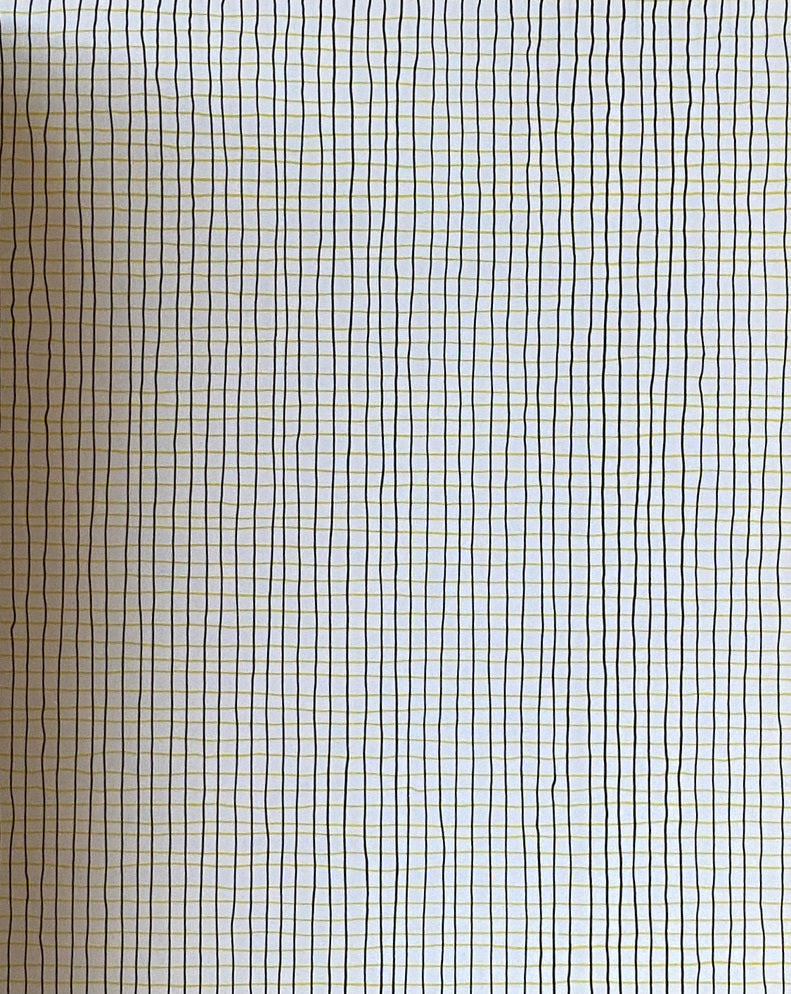 Sol Lewitt Color Grids