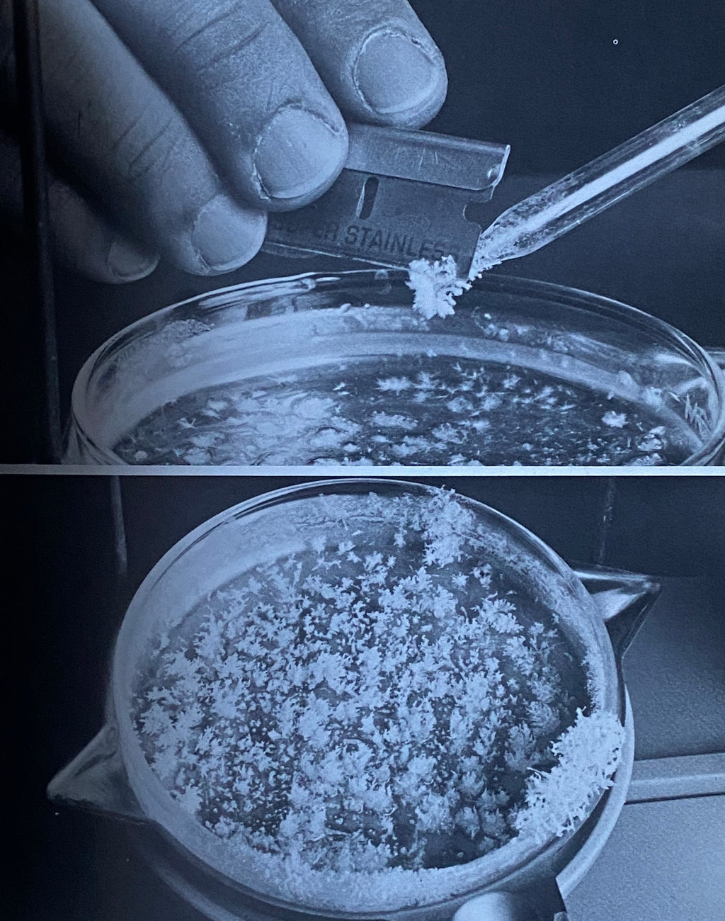 Cocaine Handbook