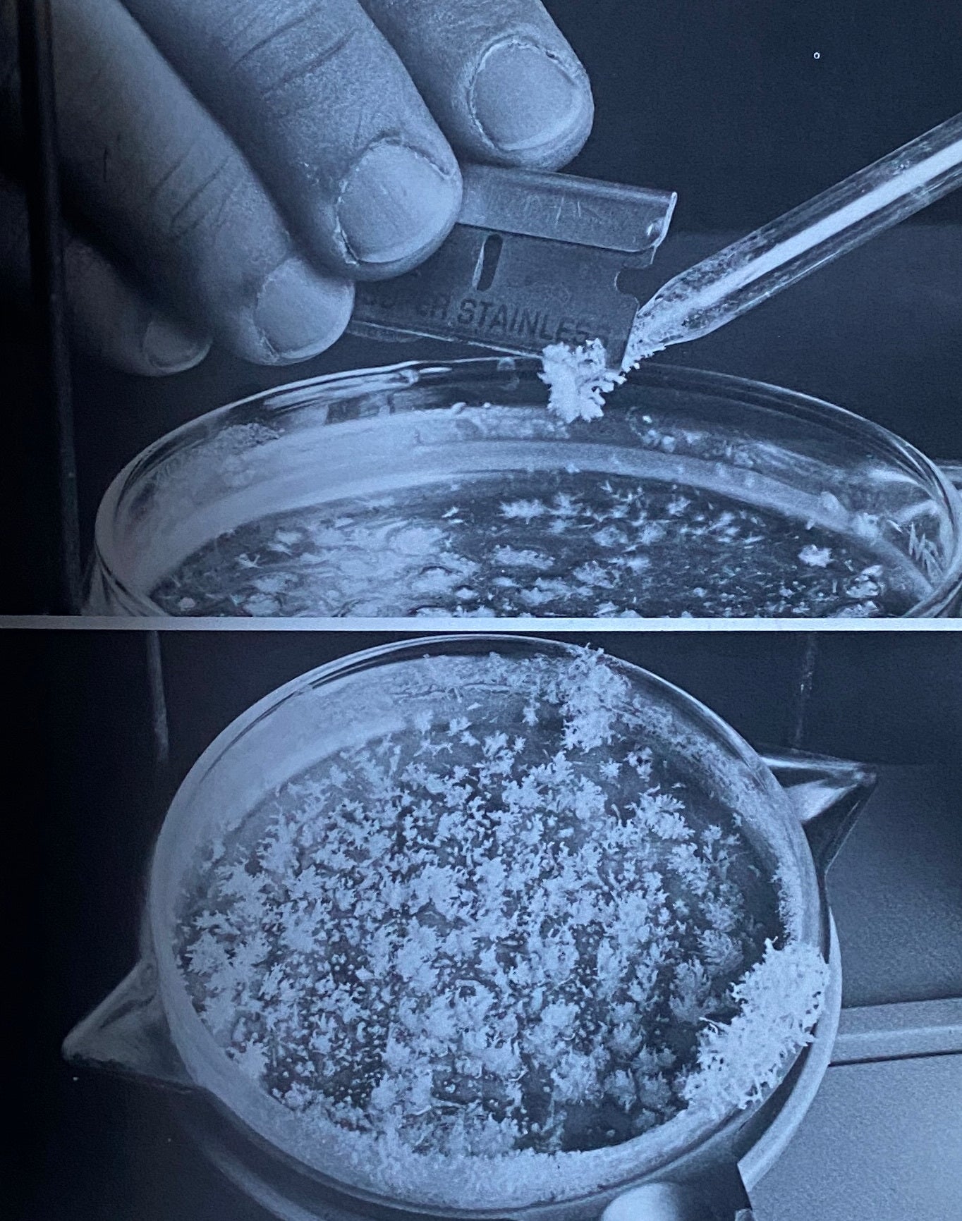 Cocaine Handbook