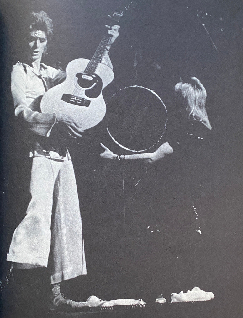 David Bowie songbook