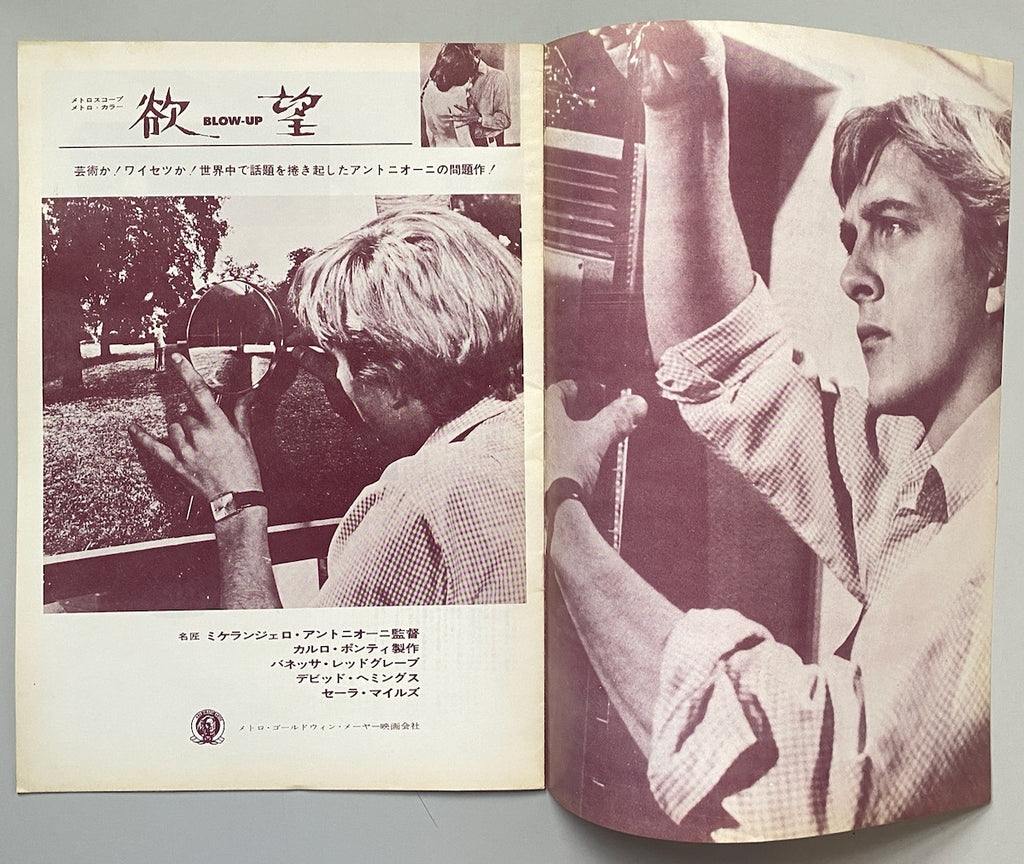 Blow Up Cinema Programme