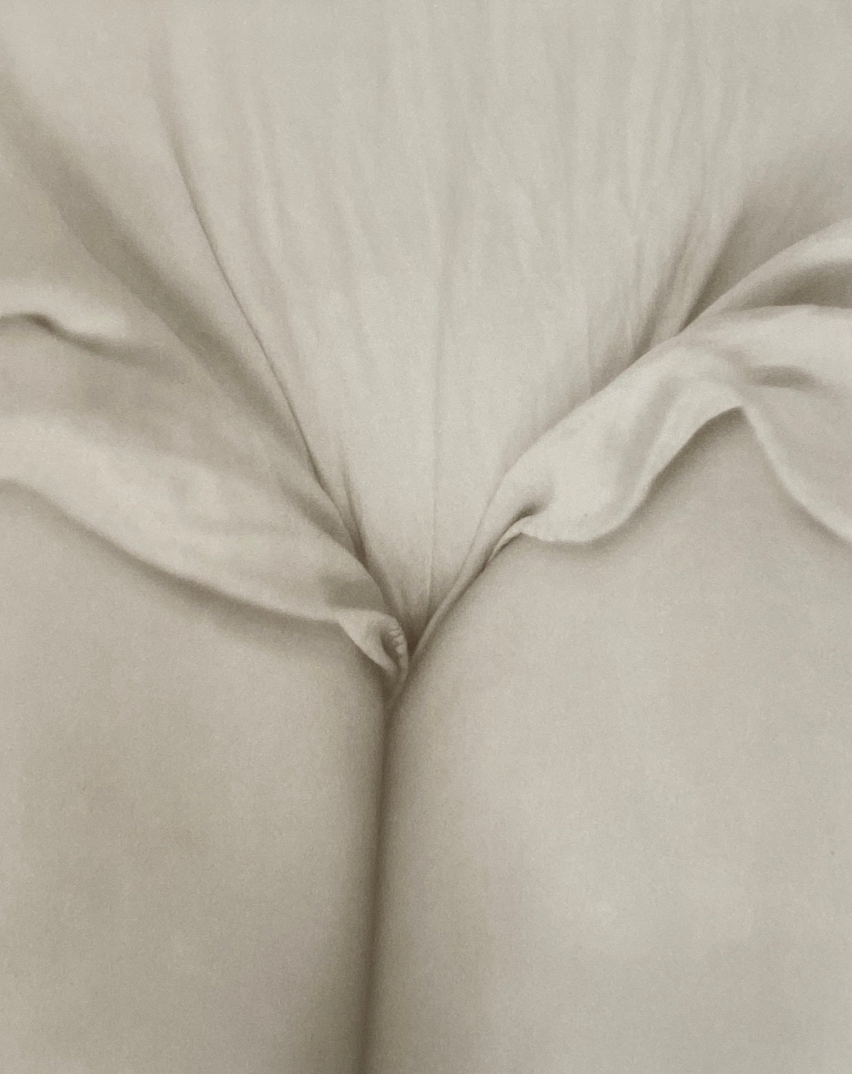 Sally Mann Still Time
