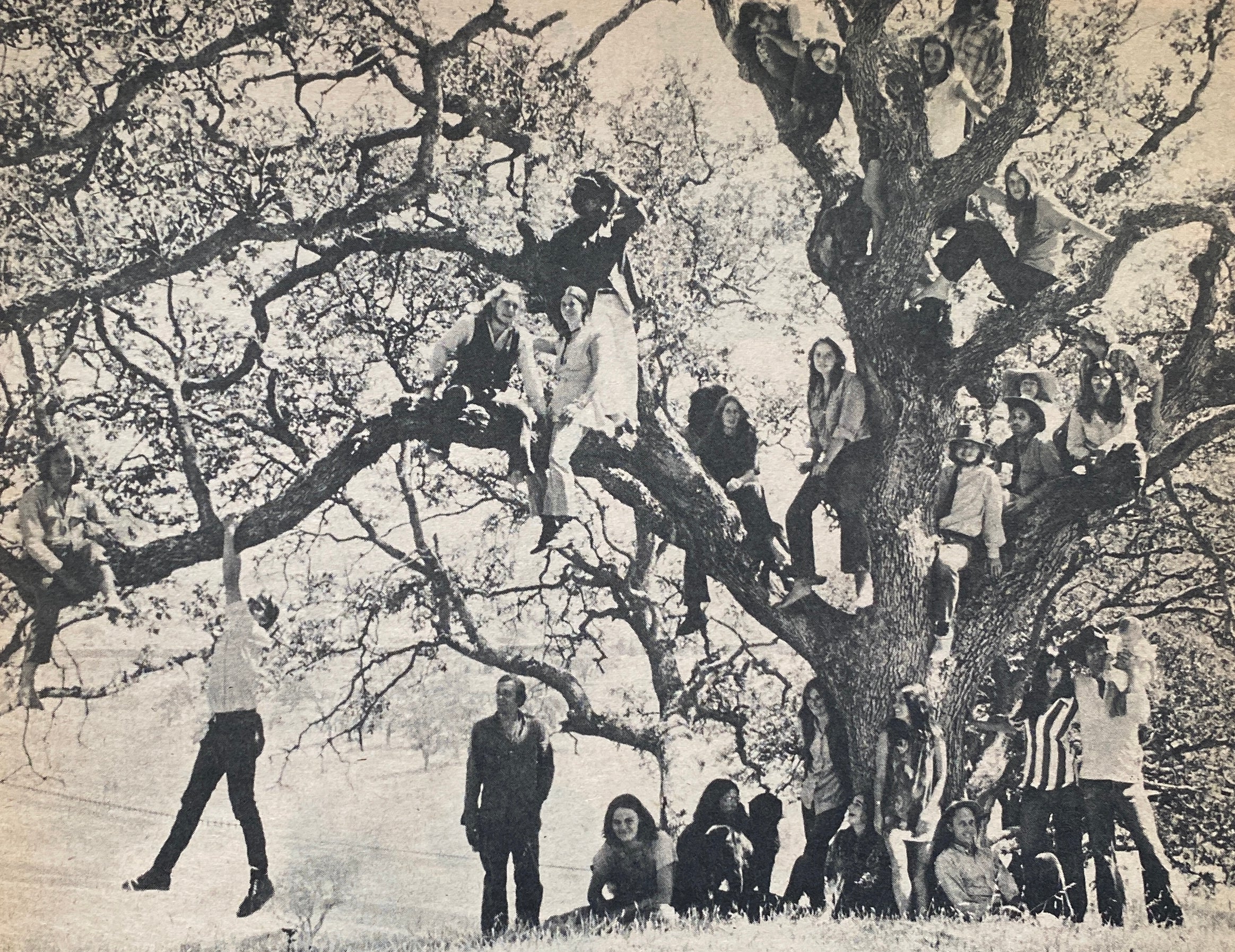 Whole Earth Catalog Fall 1970
