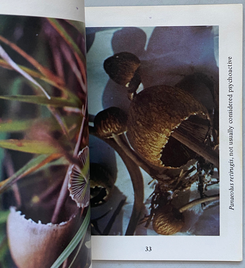 Magical Mushroom Handbook