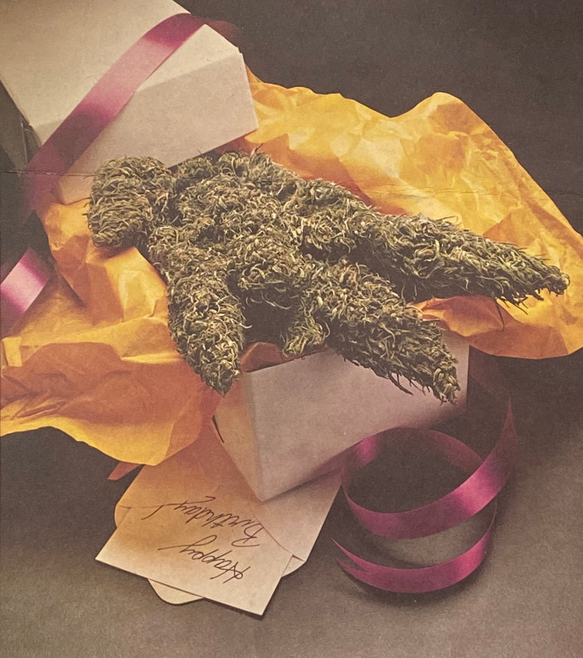 High Times Calendar 1980