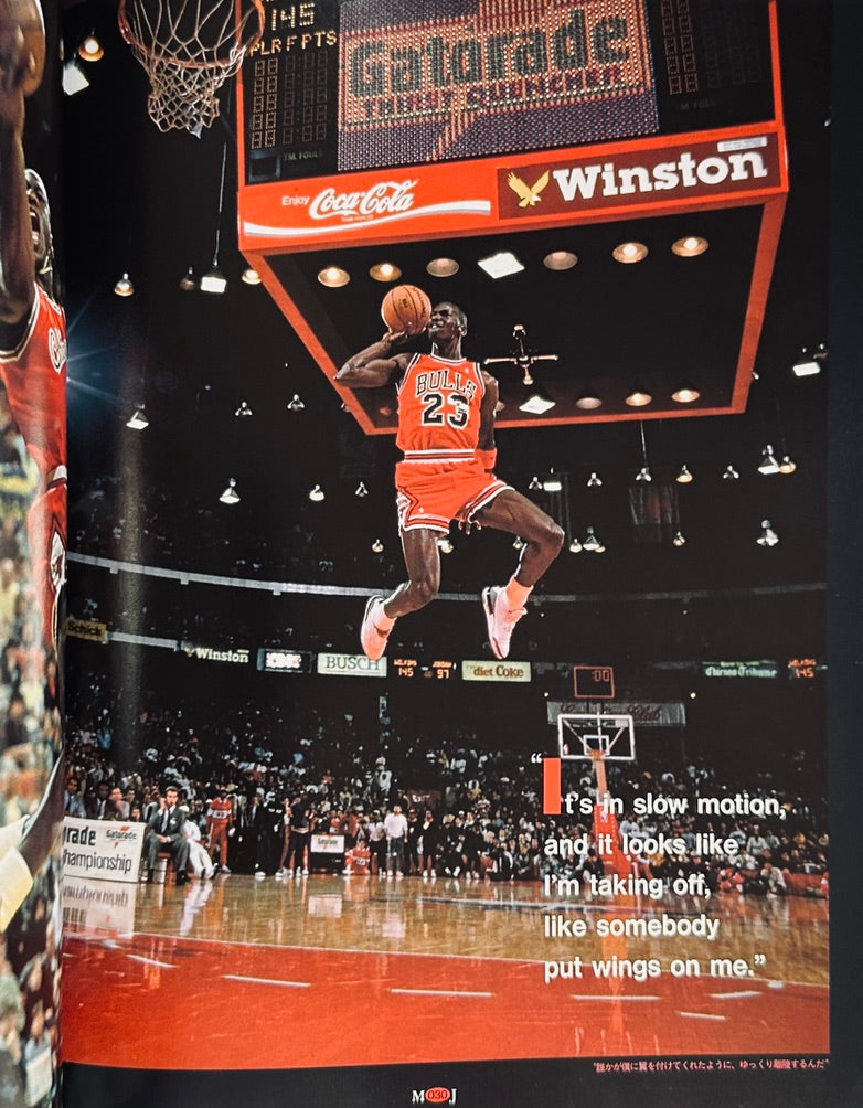 Michael Jordan The Air