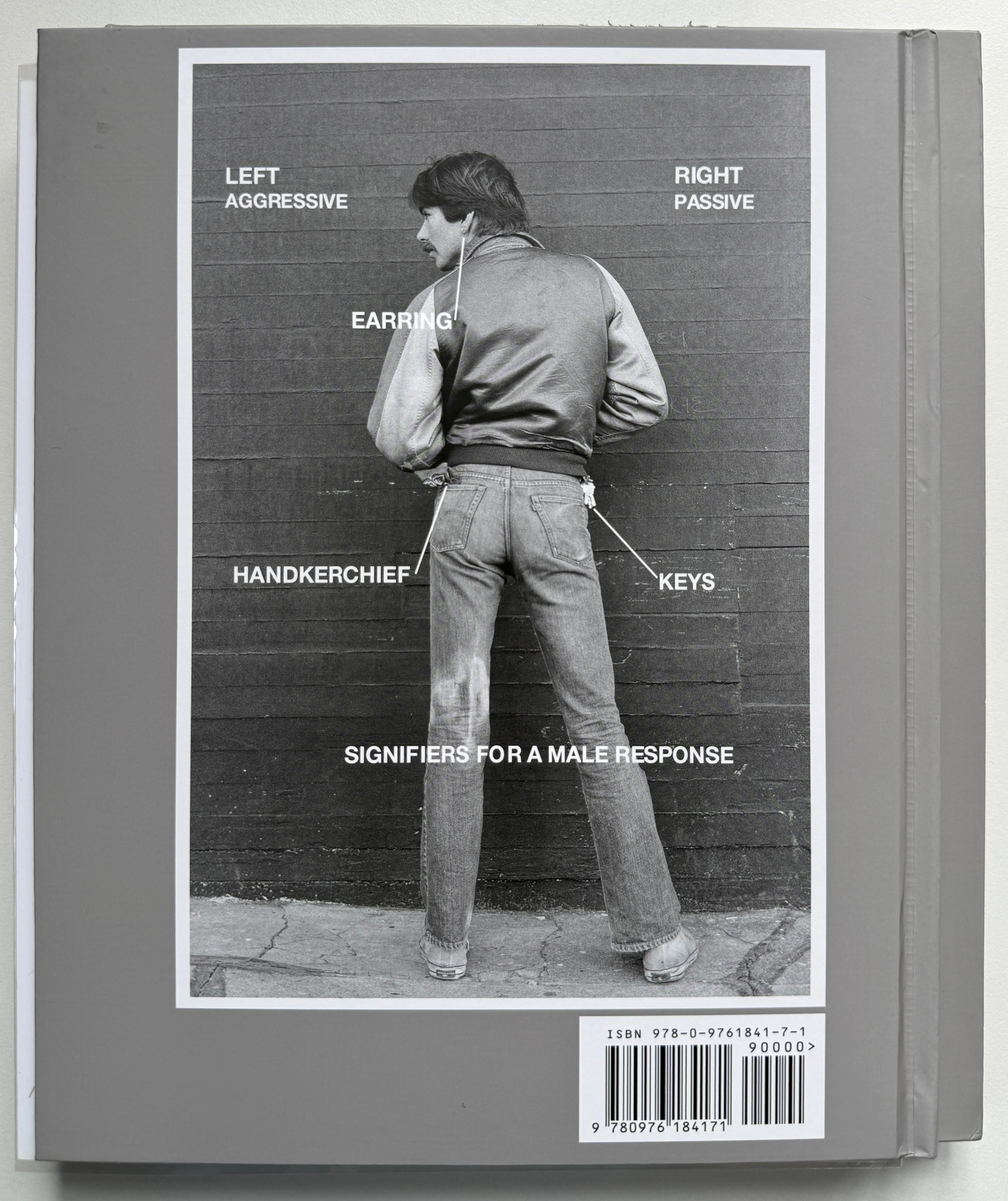 Gay Semiotics Deluxe with Print