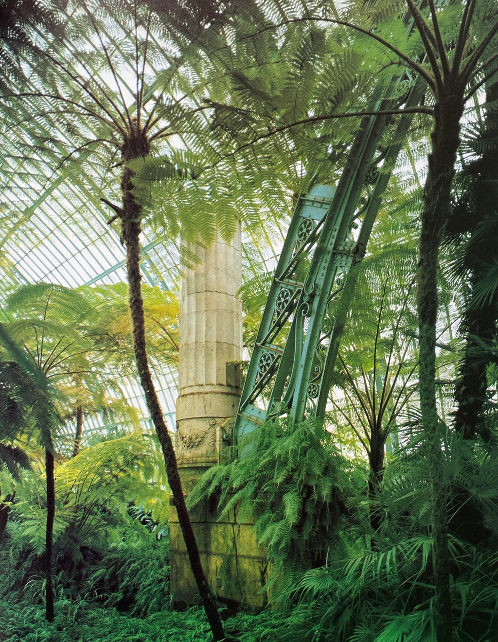 Glasshouses and Winter Gardens