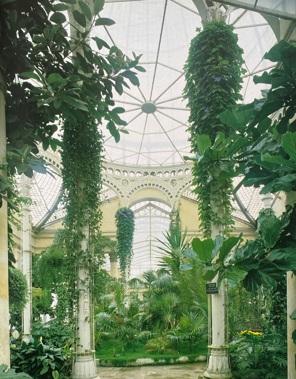 Glasshouses and Winter Gardens