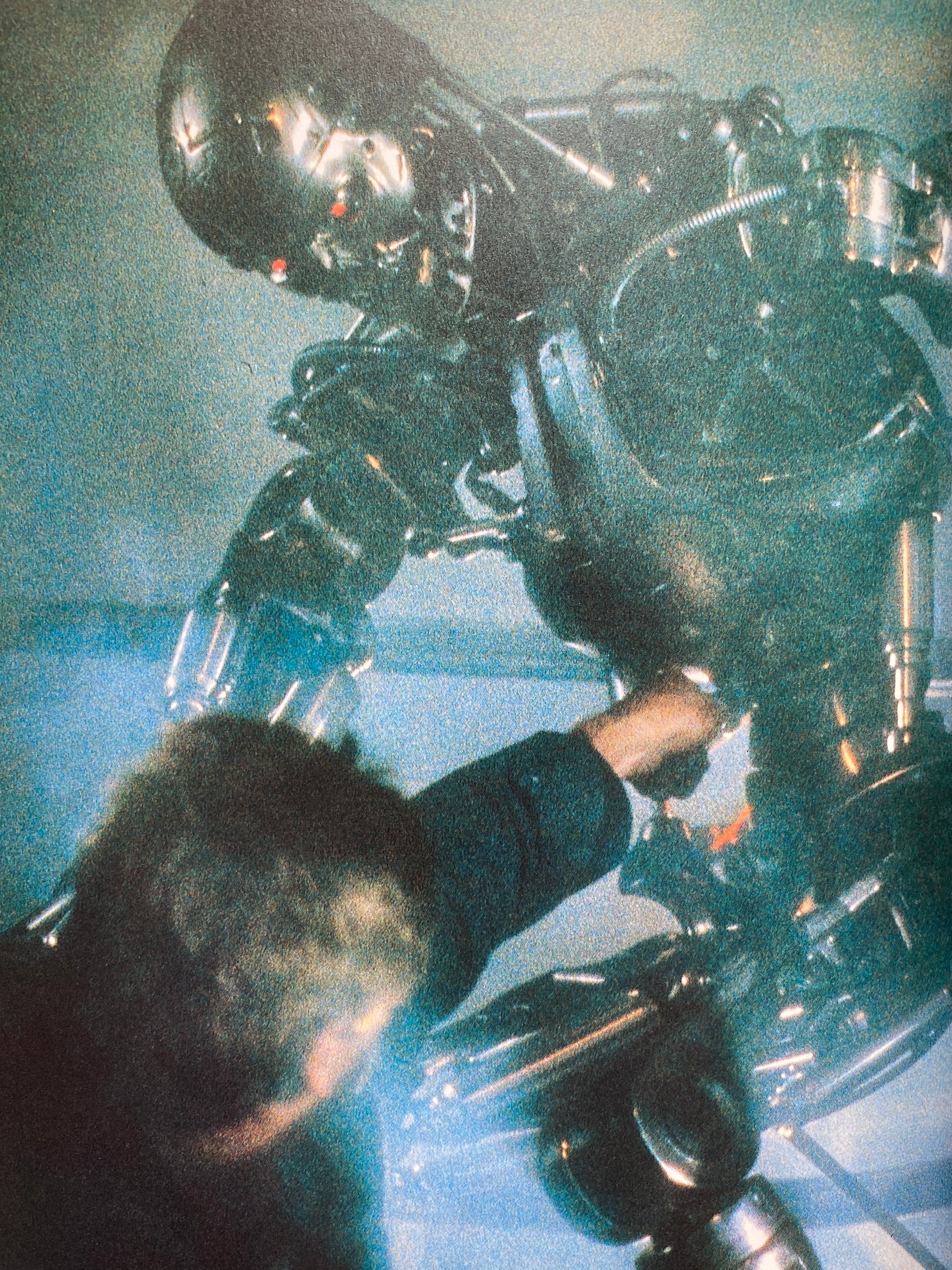 The Terminator Album