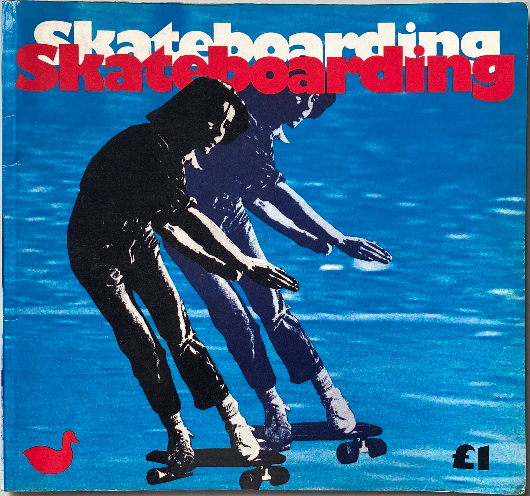 Skateboarding