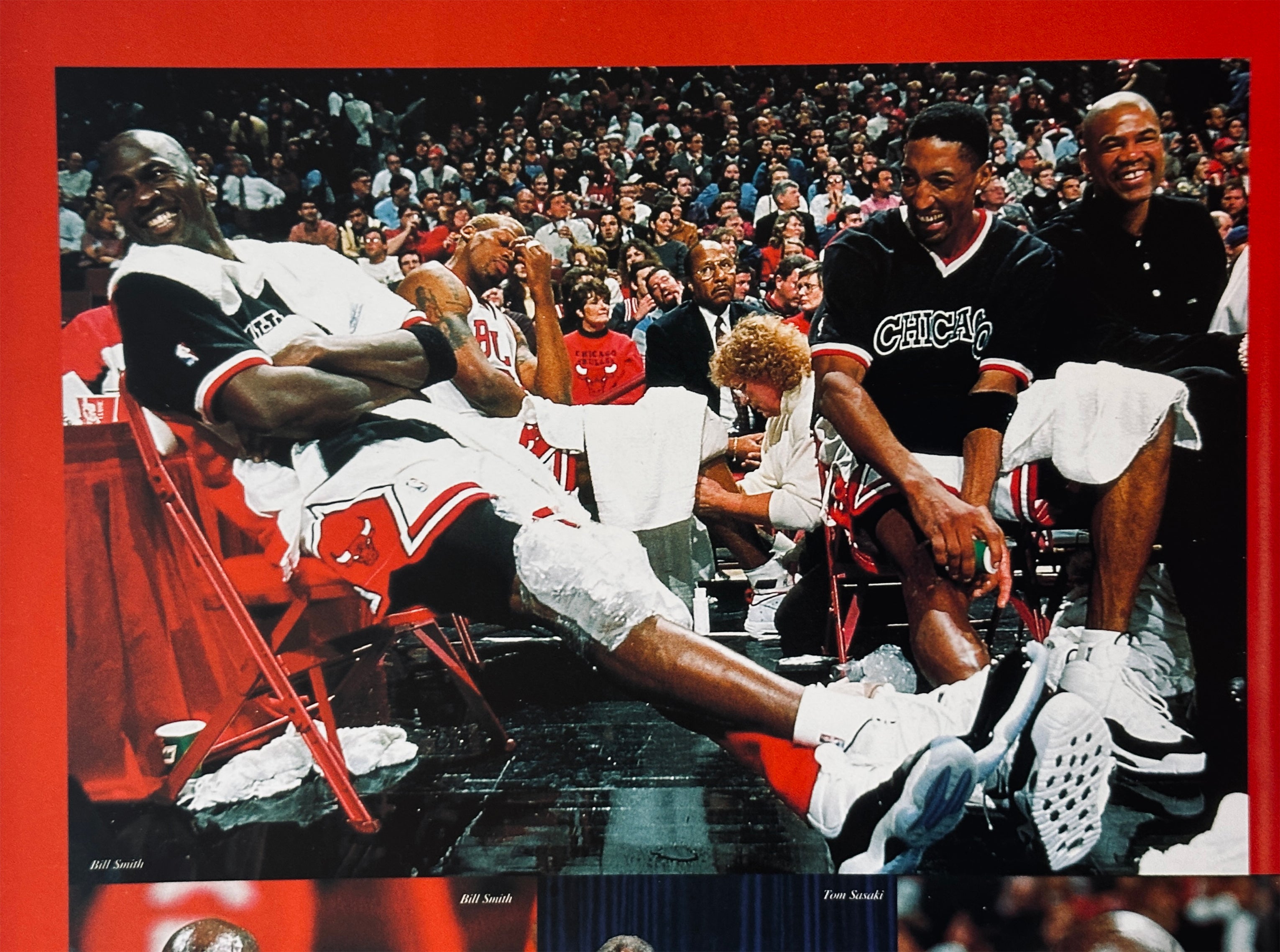Chicago Bulls All of the Champion