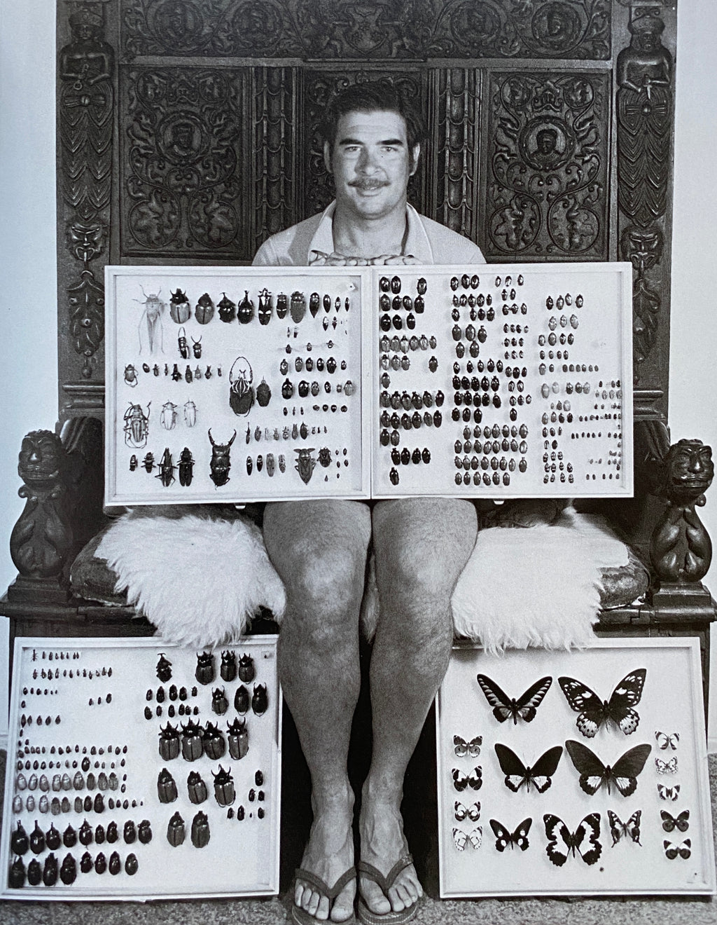 The Passionate Collector