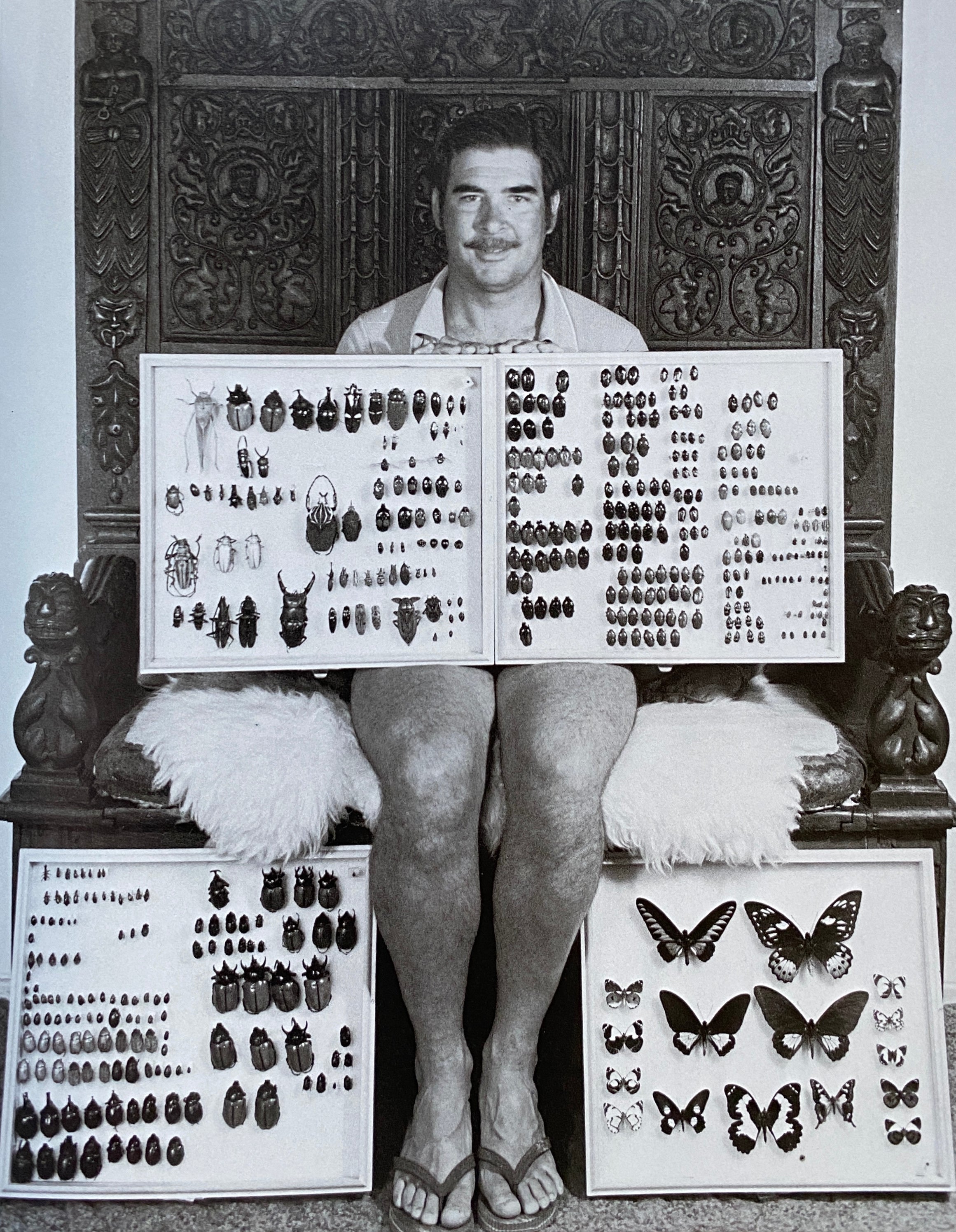 The Passionate Collector