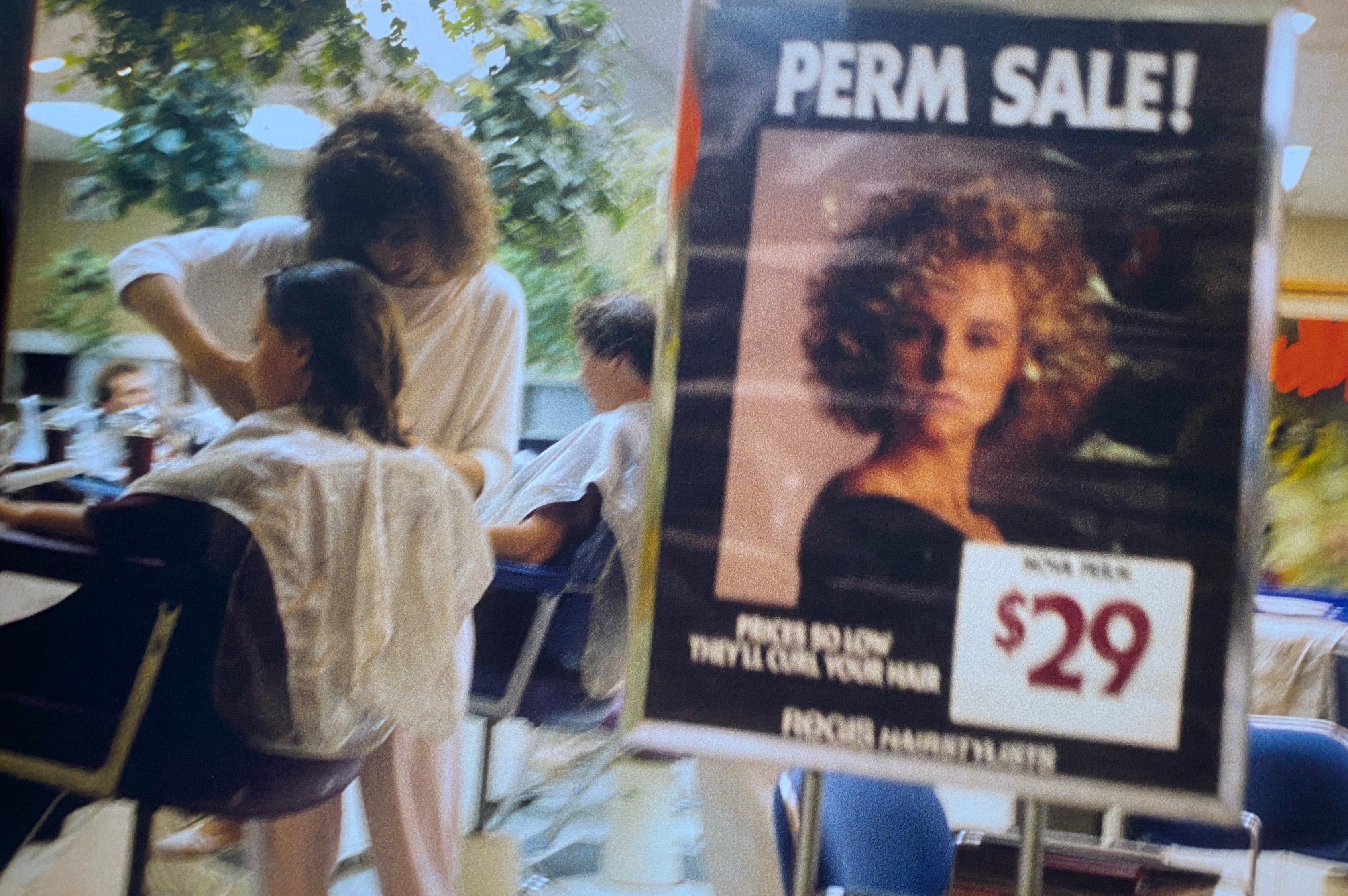 The Decline of Mall Civilization