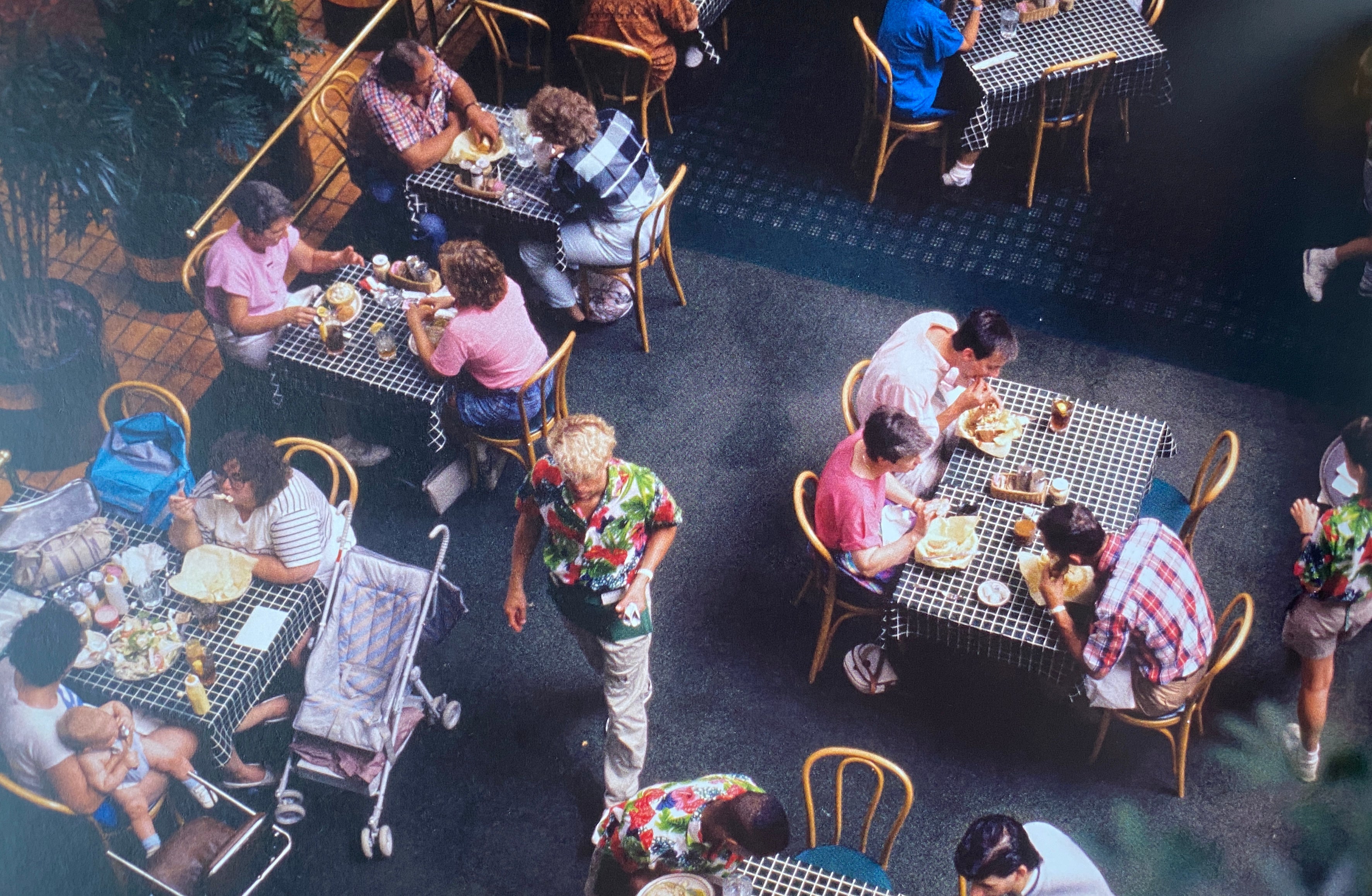 The Decline of Mall Civilization