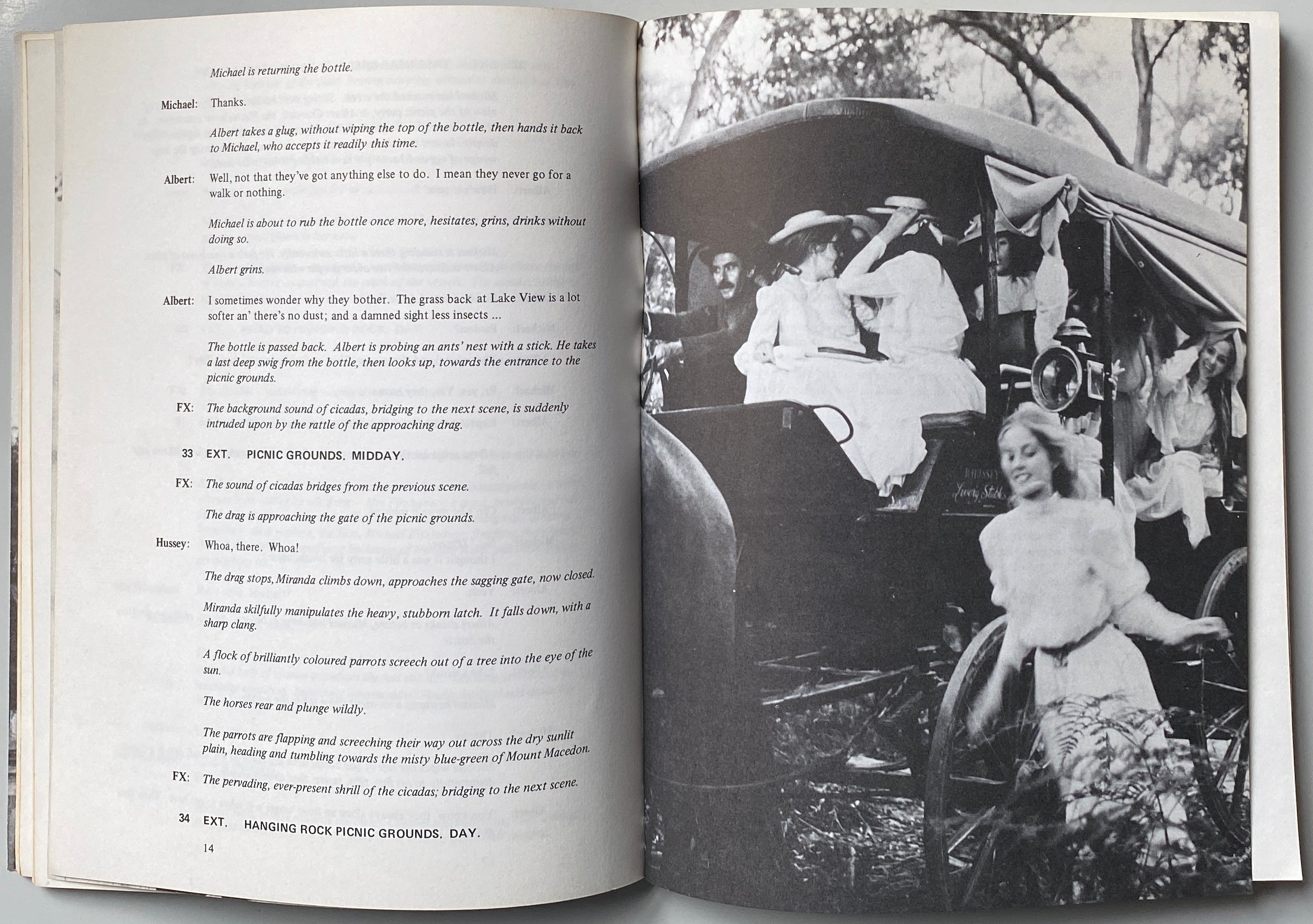 Picnic At Hanging Rock