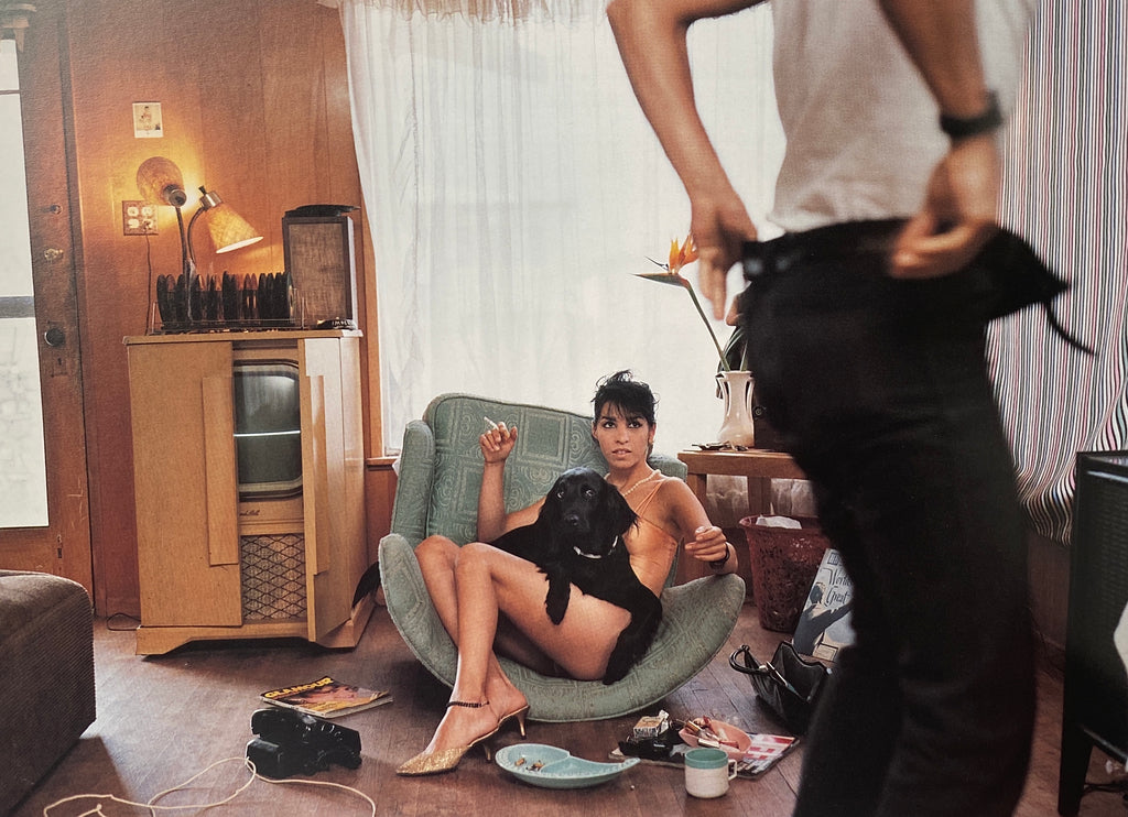 Pleasures and Terrors of Domestic Comfort