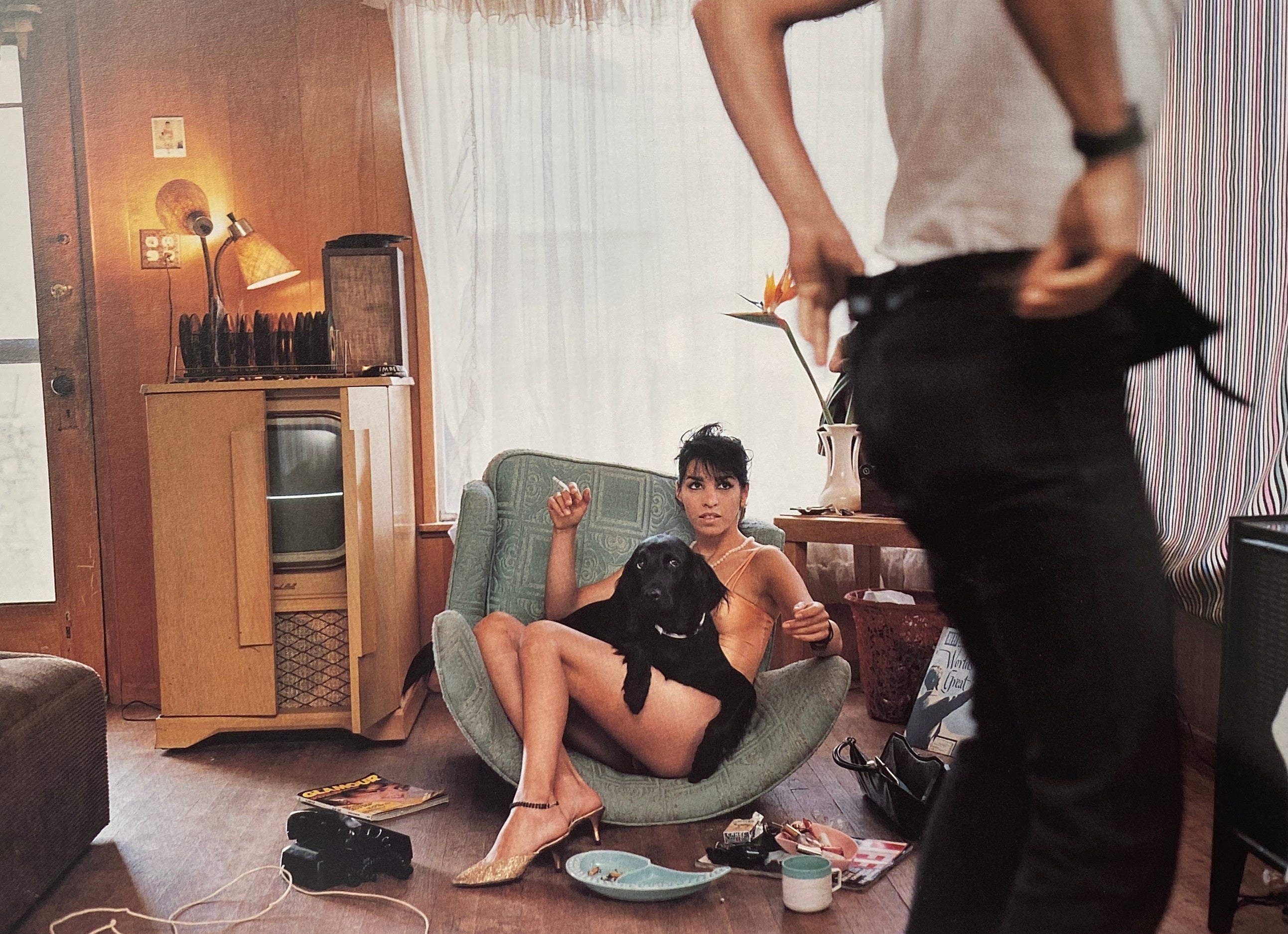 Pleasures and Terrors of Domestic Comfort