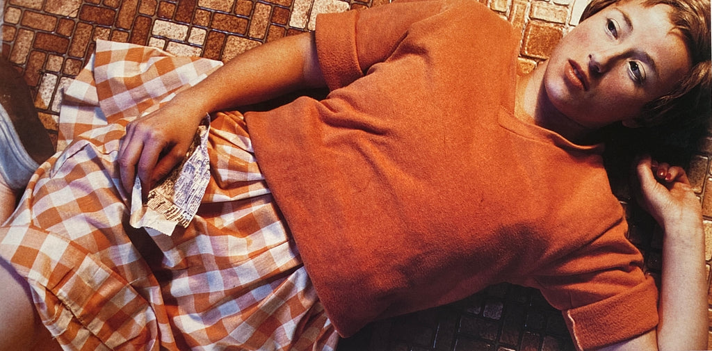 Pleasures and Terrors of Domestic Comfort